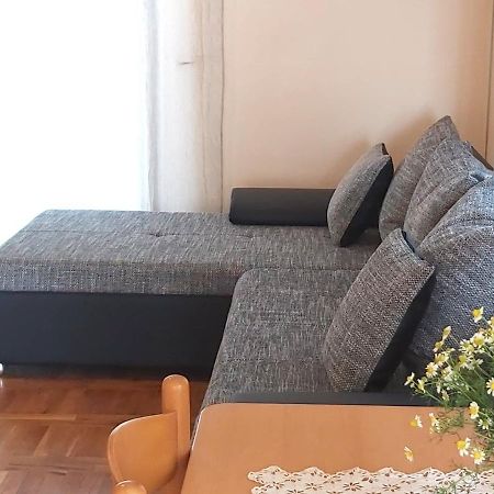 Apartmani Svitlana Сукошан Екстер'єр фото